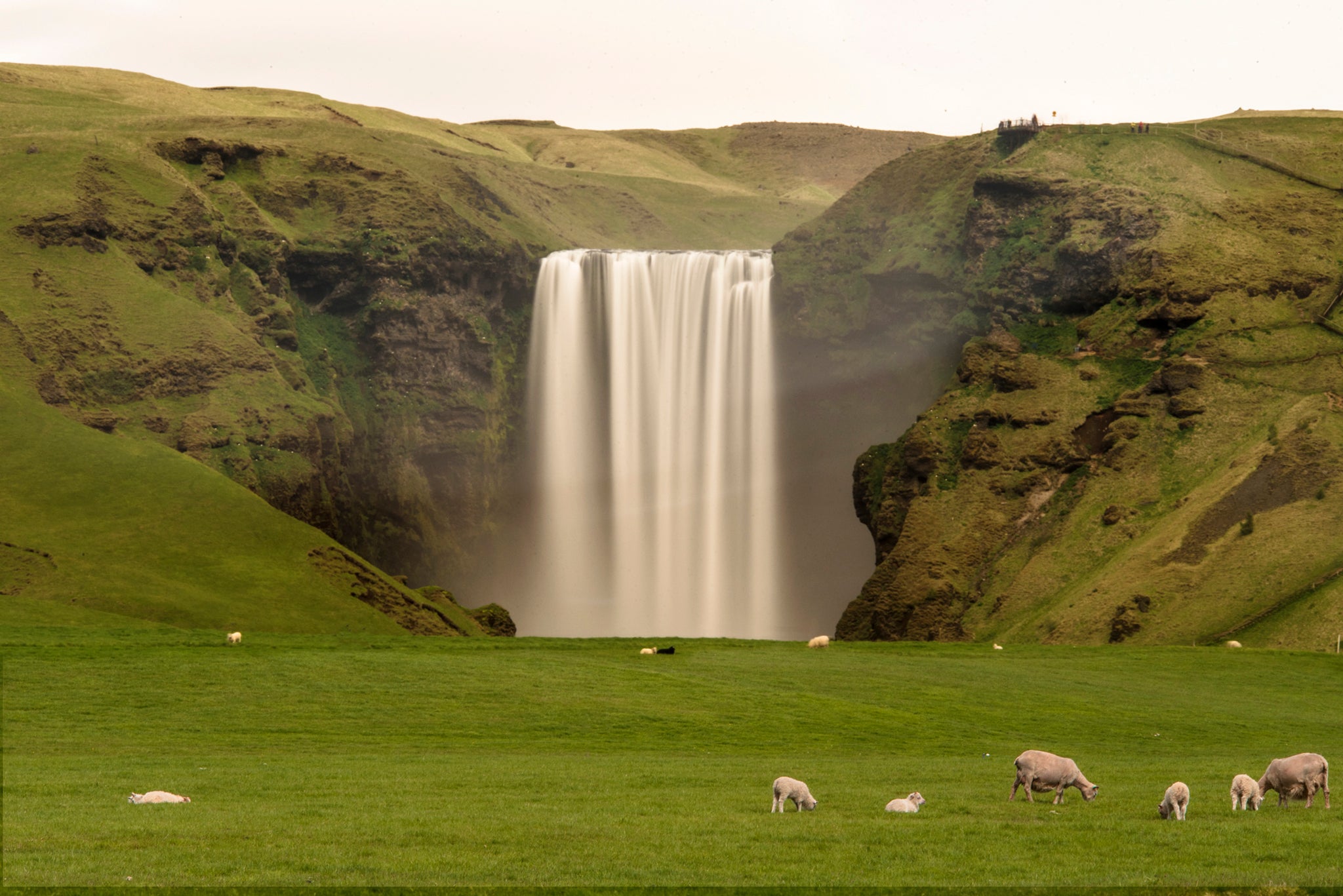 Sk&oacute;gafoss located on the south coast in Iceland