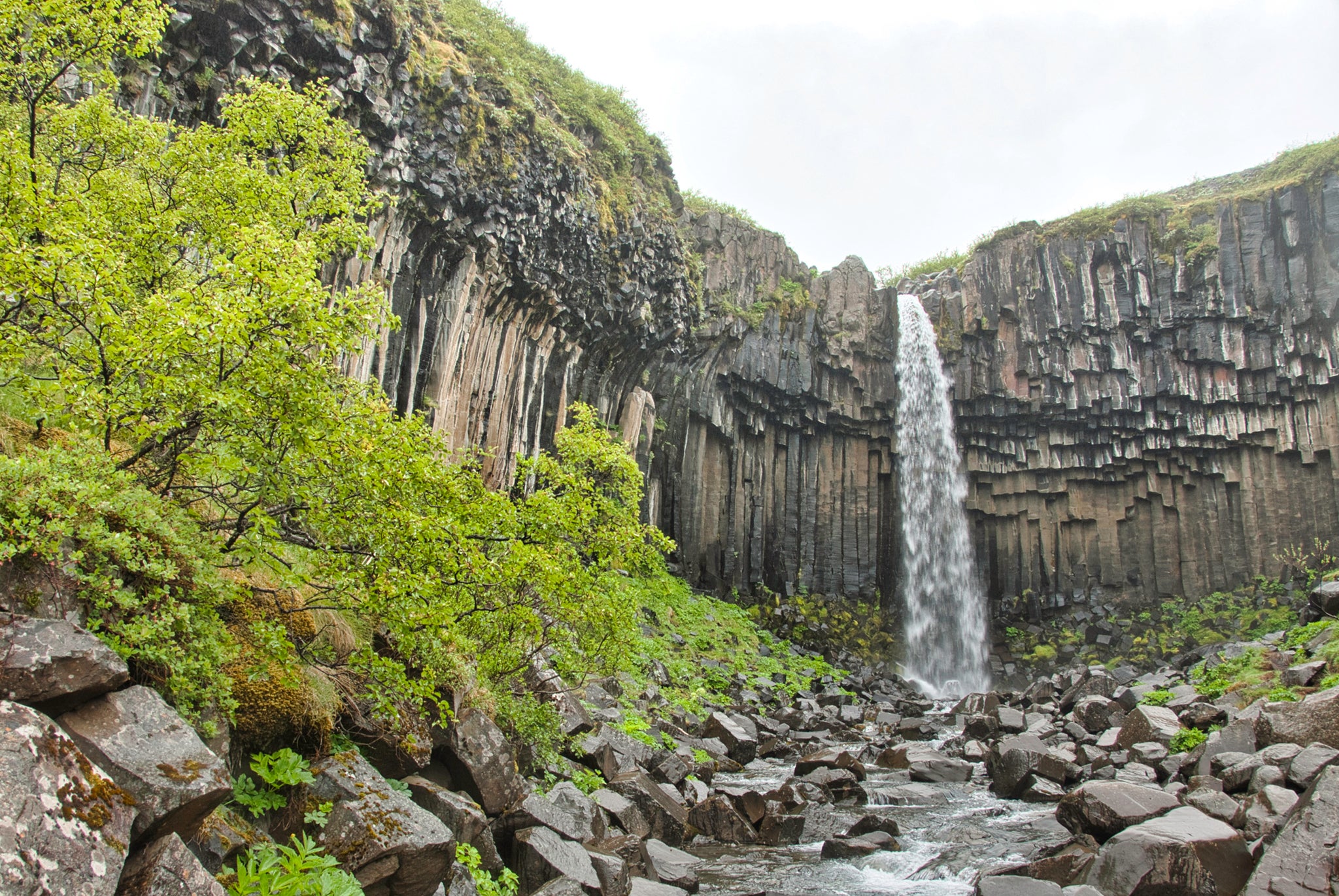 Svartifoss waterfall and basalt columns