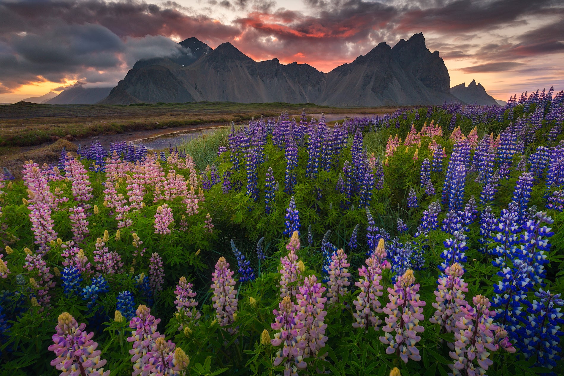 Summer Photo Tours in Iceland