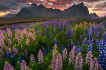 Summer Photo Tours in Iceland