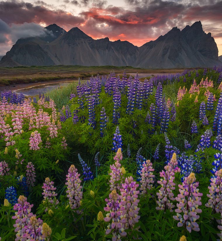 เวิร์คช็อปหน้าร้อนที่ไอซ์แลนด์