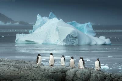 Antarctica Photography Expedition - November 19 - 30, 2025 - day 4