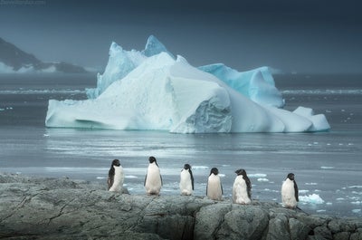 Antarctica Photography Expedition - November 19 - 30, 2025 - day 4