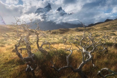 Patagonia Summer Photography Tour in Torres del Paine - day 3