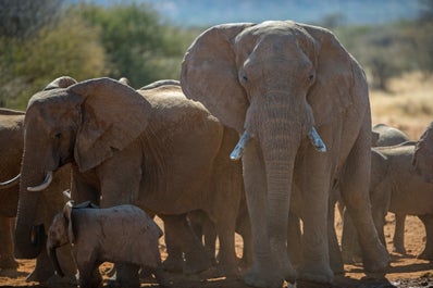 Namibia Wildlife Photography Tour - day 2