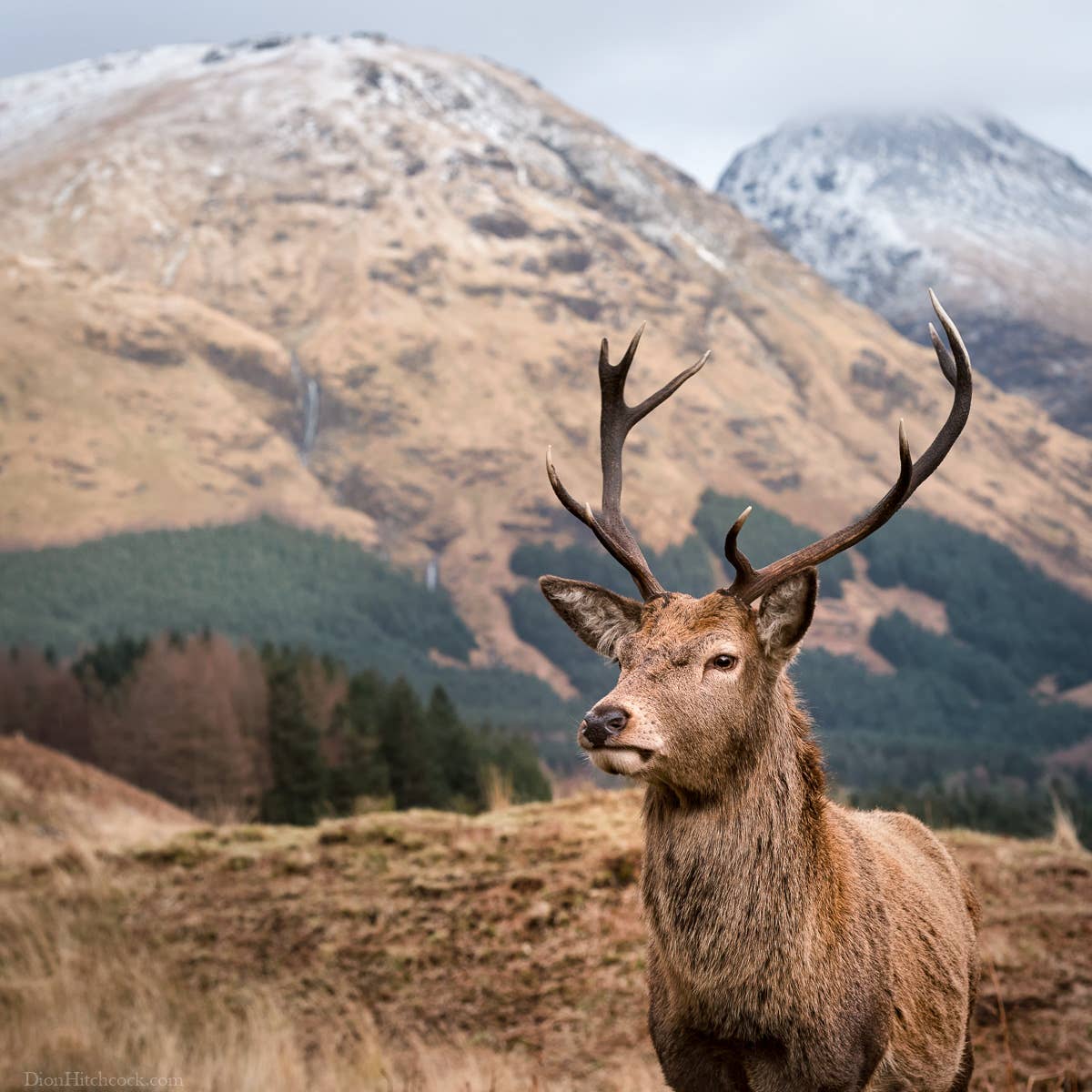 Scotland Photography Tour | Isle of Skye & Scottish Highlands | Iceland ...