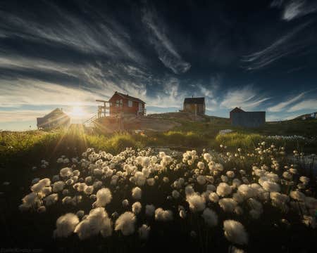 Red Sails in Greenland | Summer Photo Workshop