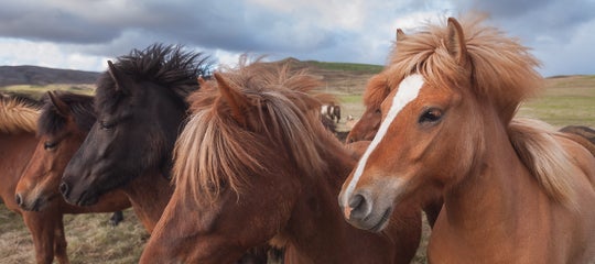 iceland photo tours iurie35.jpg
