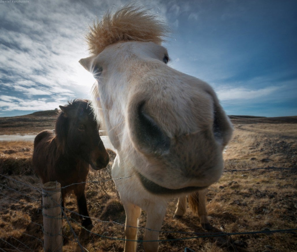 Interview with Daniel Kordan