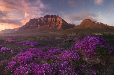 South Greenland Photography Tour - day 4