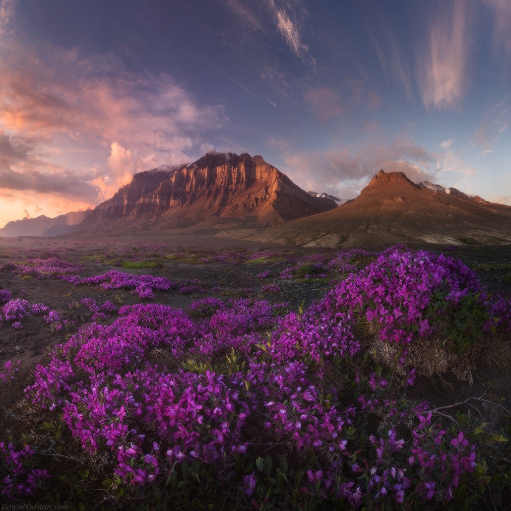 South Greenland Photography Tour - day 4