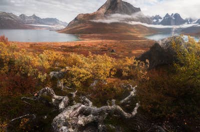 South Greenland Photography Tour - day 5