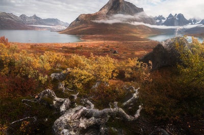 South Greenland Photography Tour - day 5