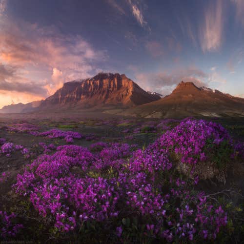 South Greenland Photography Tour
