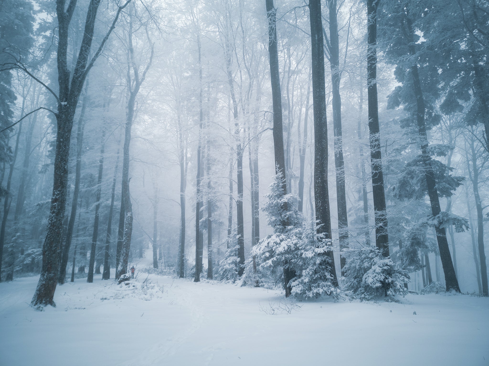 How to Use Smartphone Camera Modes for Amazing Landscape Photography