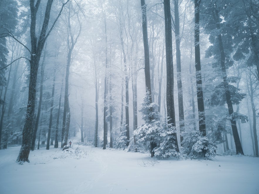 How to Use Smartphone Camera Modes for Amazing Landscape Photography How to Use Smartphone Camera Modes for Amazing Landscape Photography