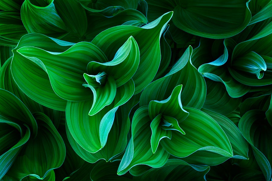 8 Tips to Improve Your Landscape Photographs