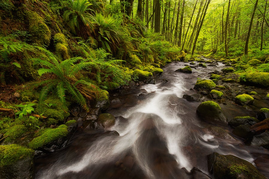 8 Tips to Improve Your Landscape Photographs