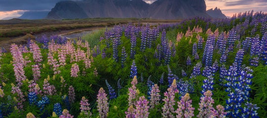 iceland photo tours iurie45.jpg