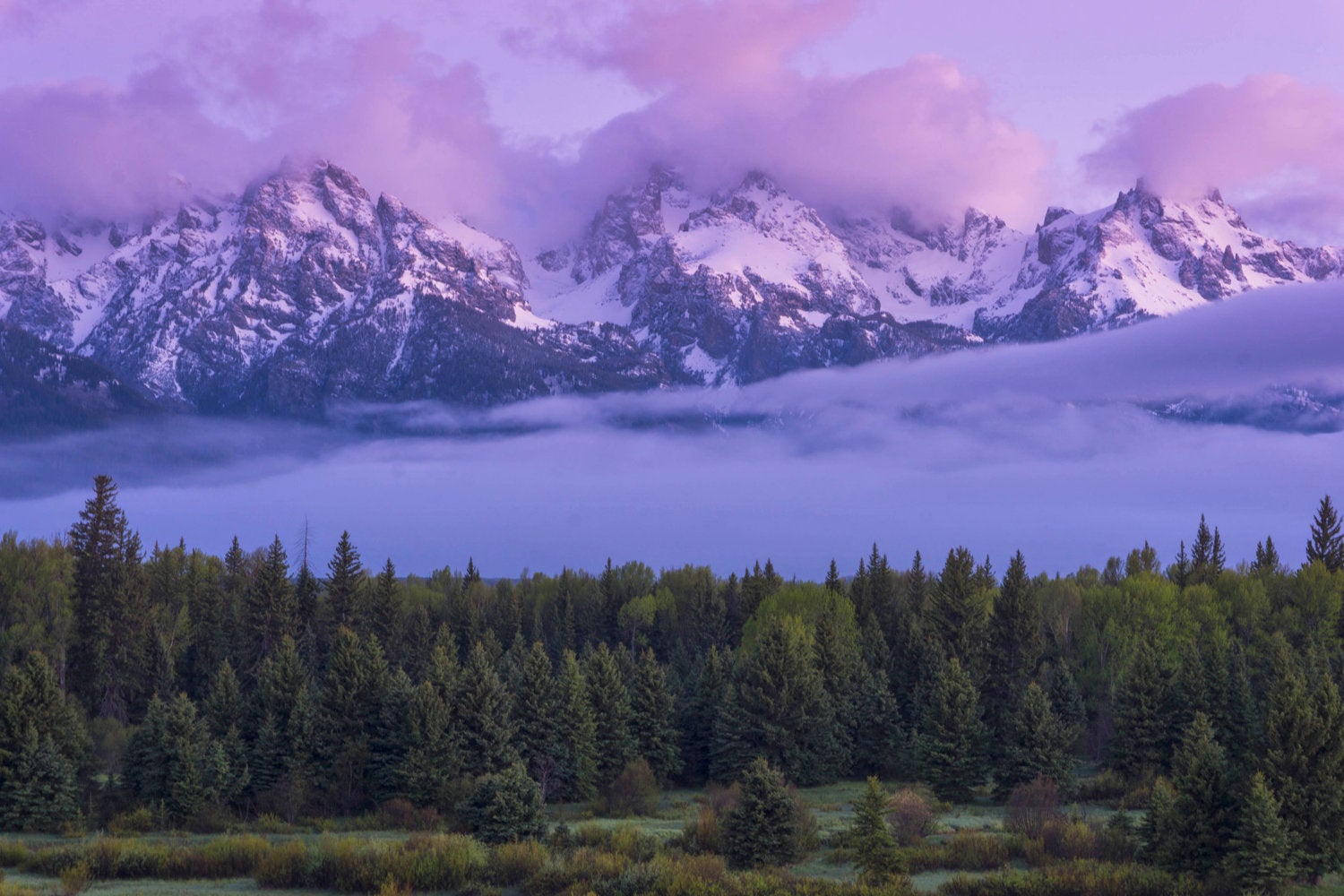 How to Become a Photographer