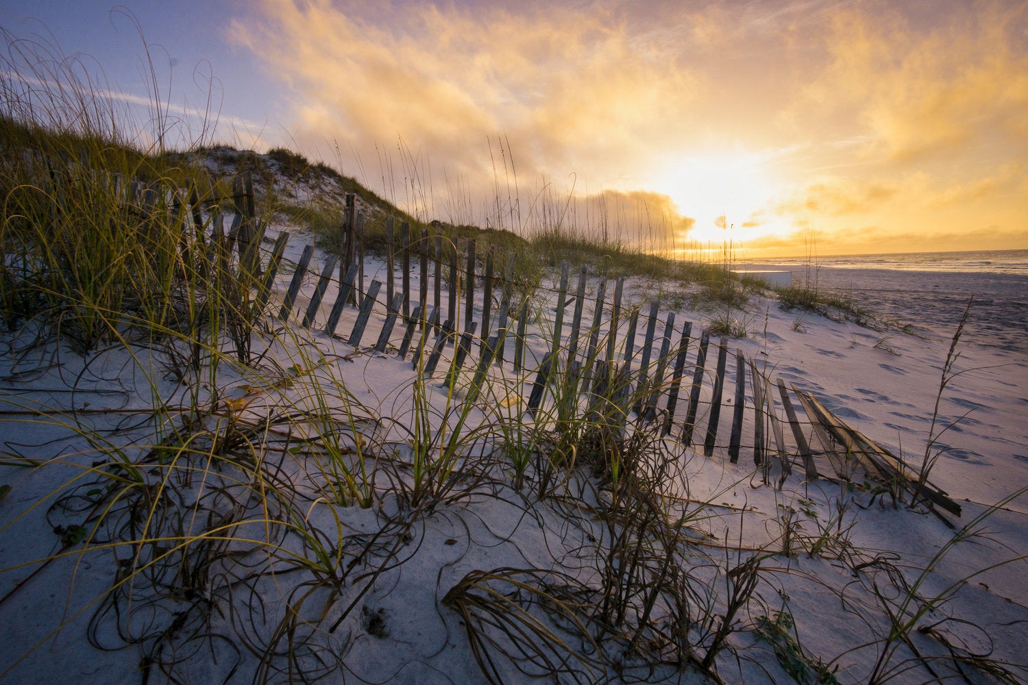 How to Become a Photographer