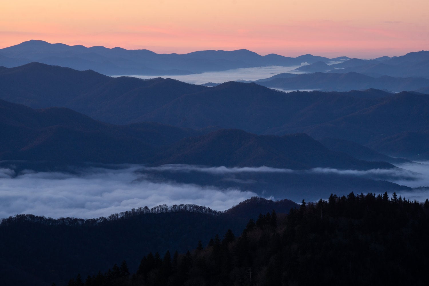 How to Become a Photographer