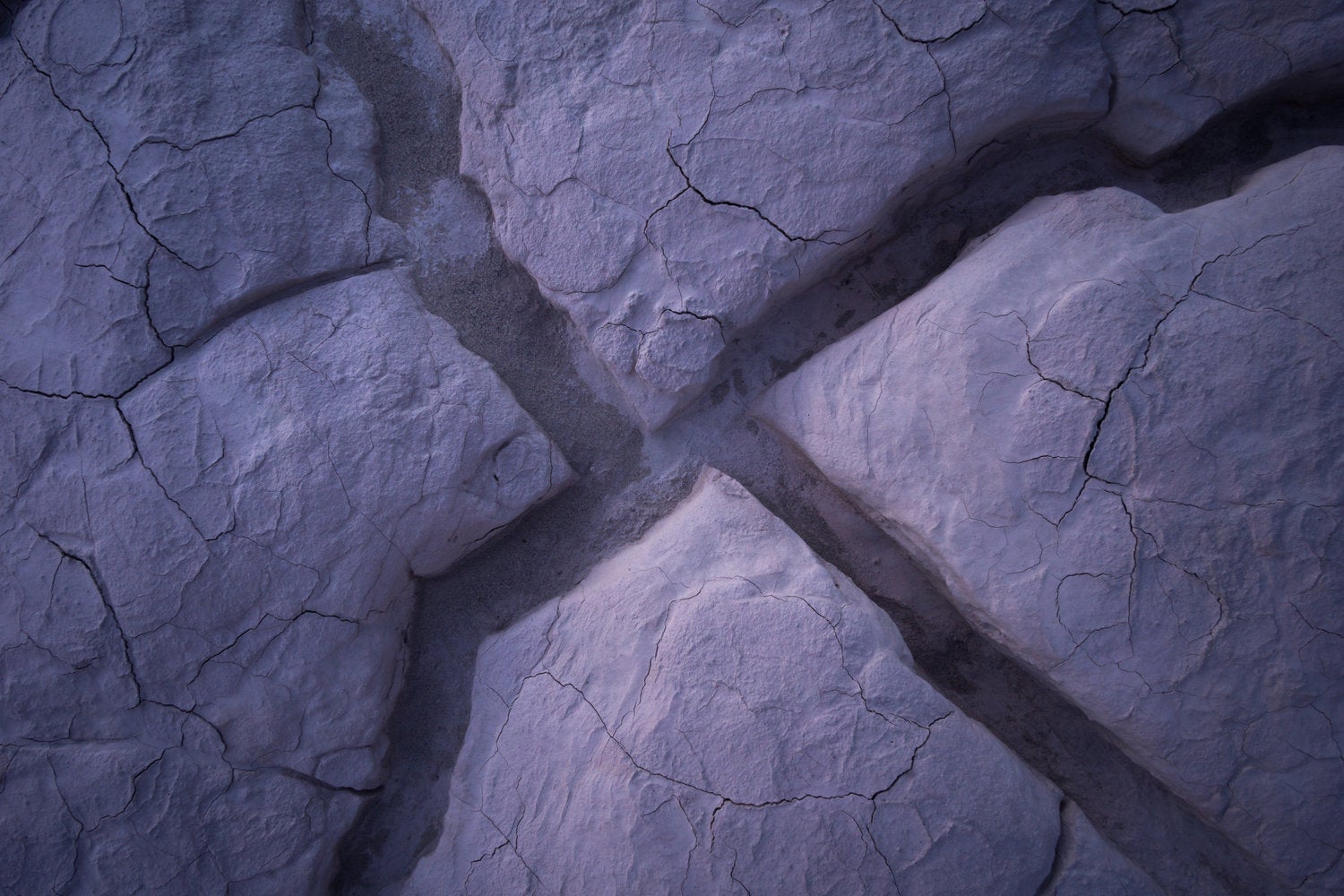 How to Become a Photographer