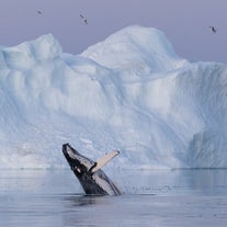 Greenland Photo Tour in Scoresby Sound | Sailing on Schooner
