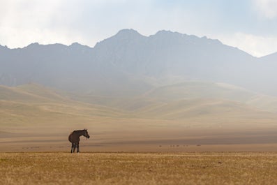 11 Day Kyrgyzstan Photography Tour - day 8