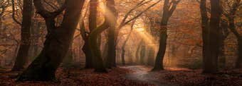 How to Use a Telephoto Lens for Landscape Photography