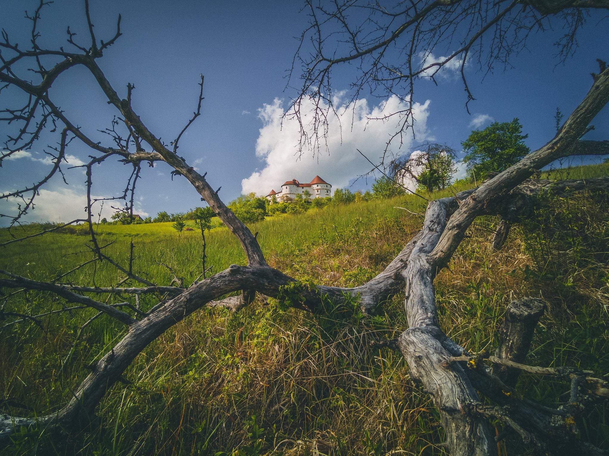 Tips and Tricks for Shooting Better Landscapes with a Smartphone