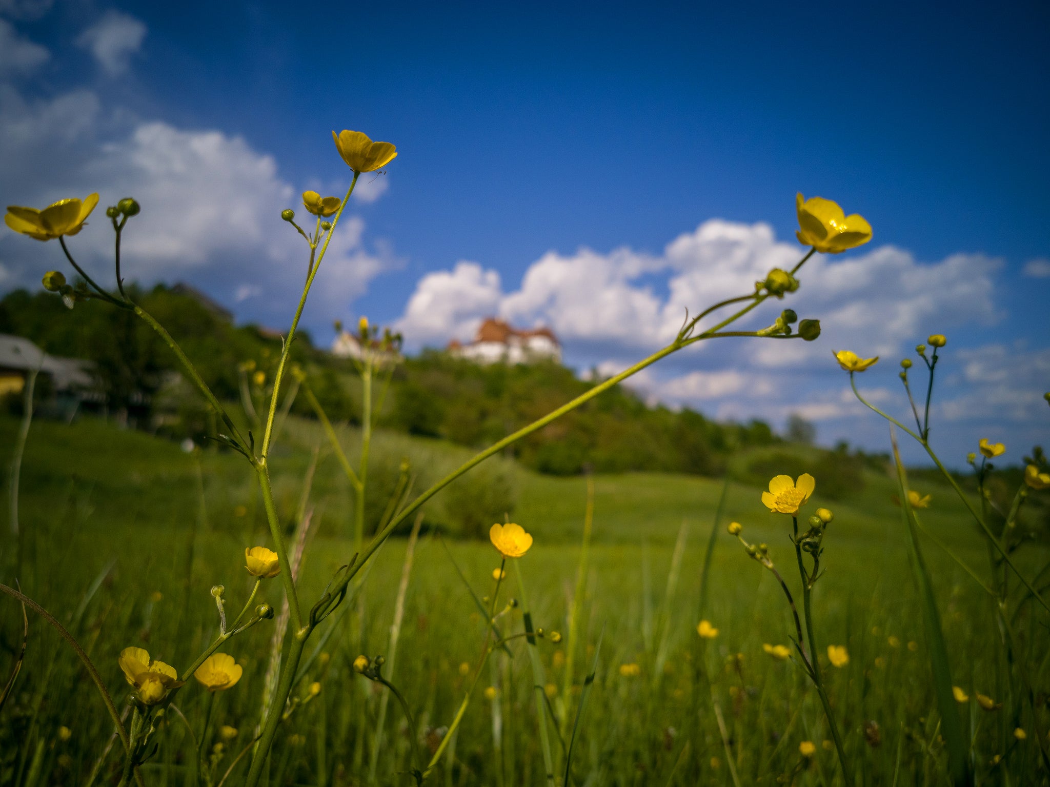 Tips and Tricks for Shooting Better Landscapes with a Smartphone