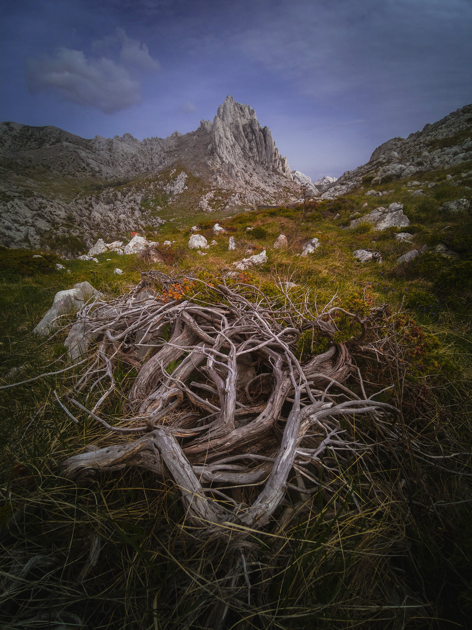 Tips and Tricks for Shooting Better Landscapes with a Smartphone