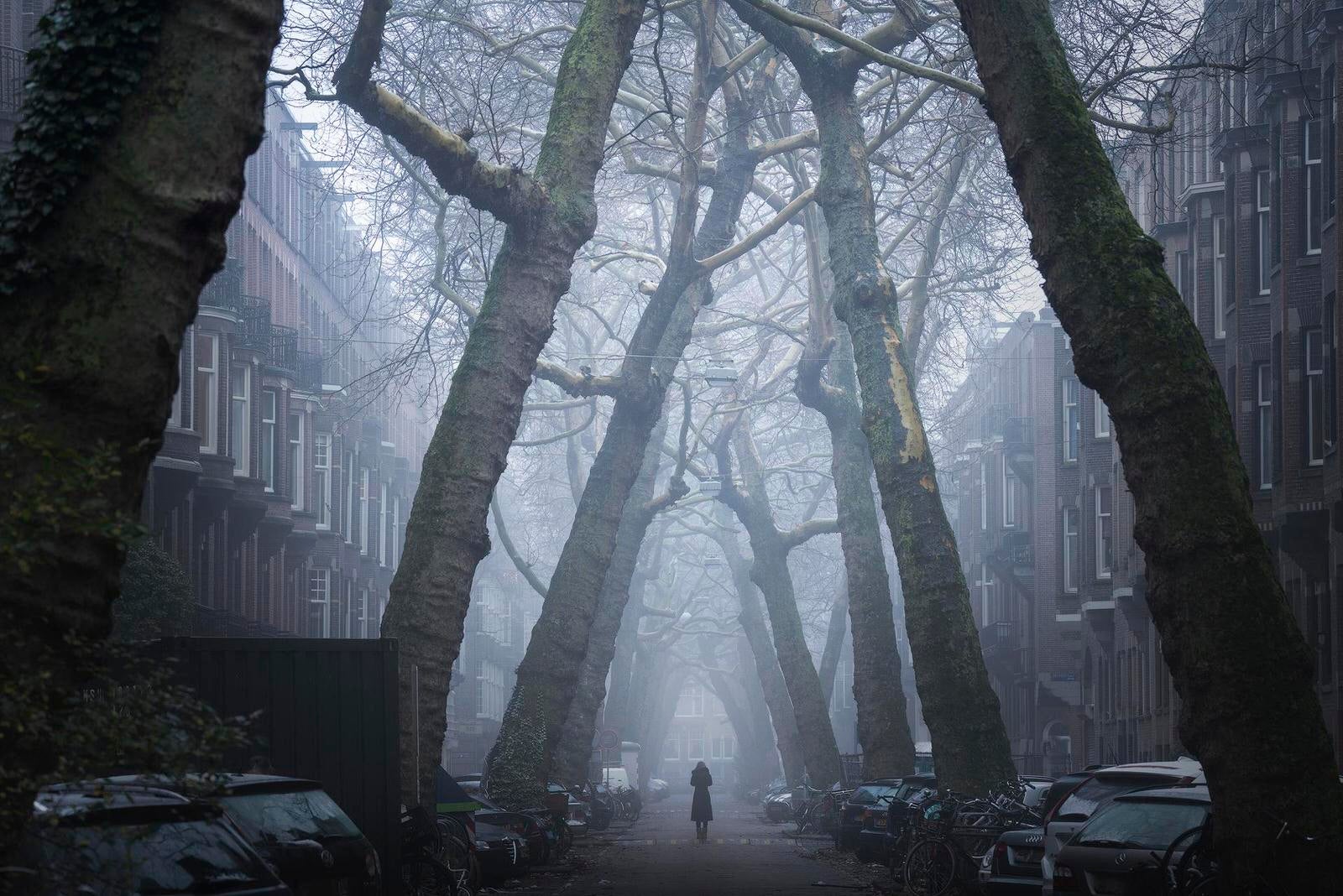 25 Useful Tips to Quickly Improve Your Landscape Photography