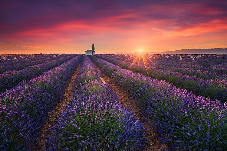 25 Useful Tips to Quickly Improve Your Landscape Photography