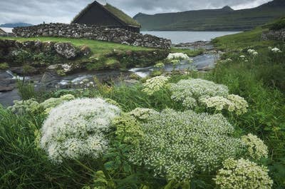 8 Day Autumn Faroe Islands Photo Tour - day 8