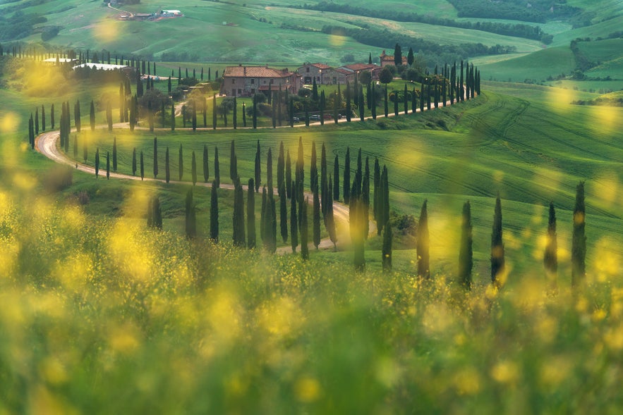Ultimate Photography Guide to Tuscany Ultimate Photography Guide to Tuscany