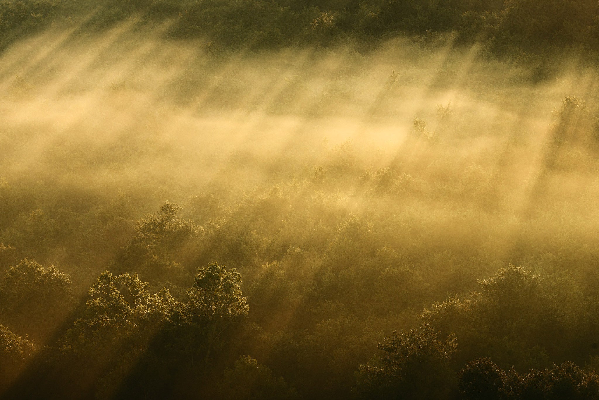 Ultimate Photography Guide to Tuscany