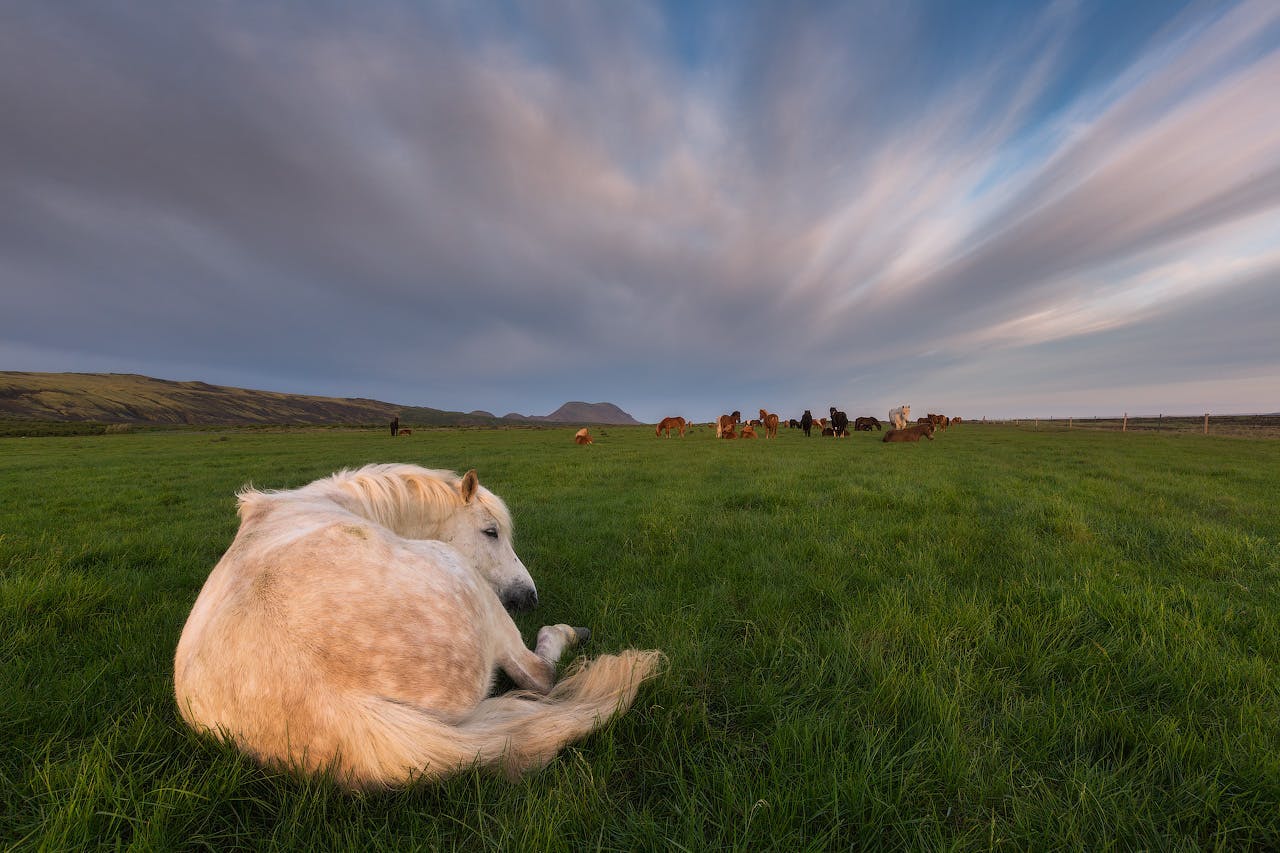 Bright Ideas for Shooting in Daylight
