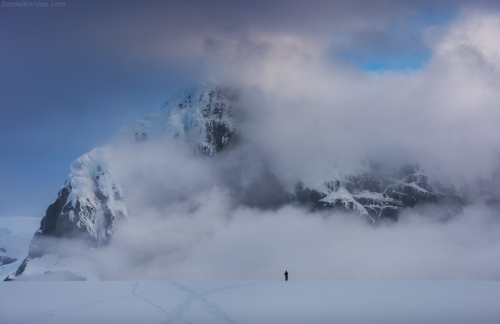 The Ultimate Guide to Wildlife Photography in Antarctica
