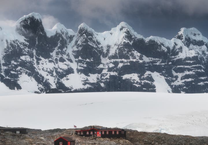 Few animals can survive on Antarctica.