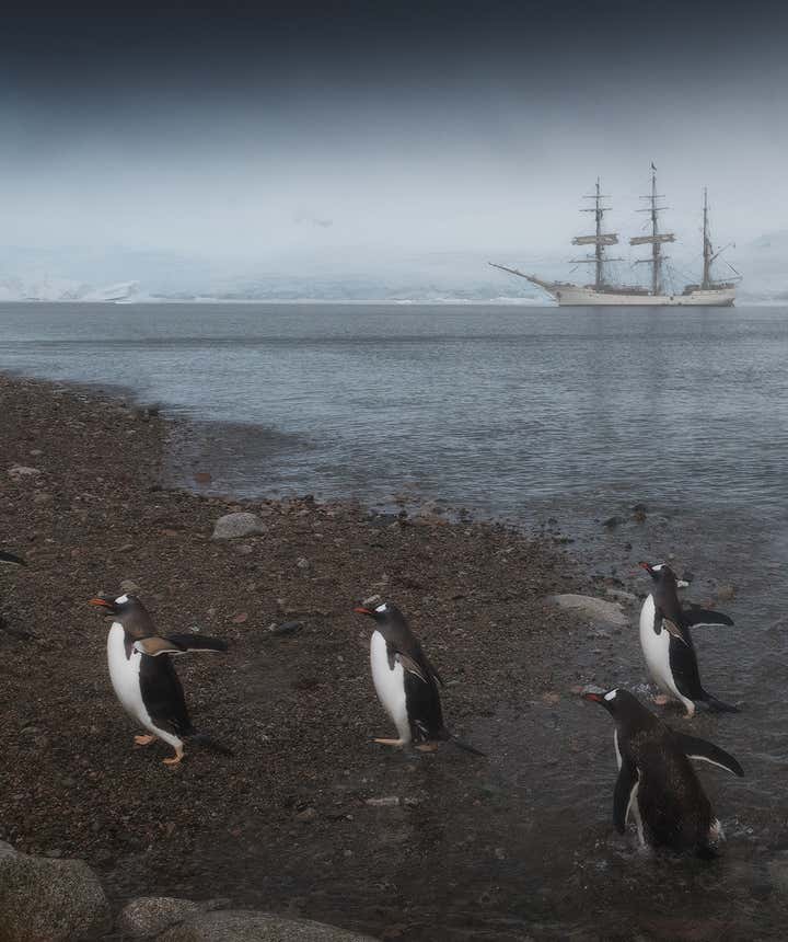 Post-producton techniques can help your refine pictures of the wildlife of Antarctica.