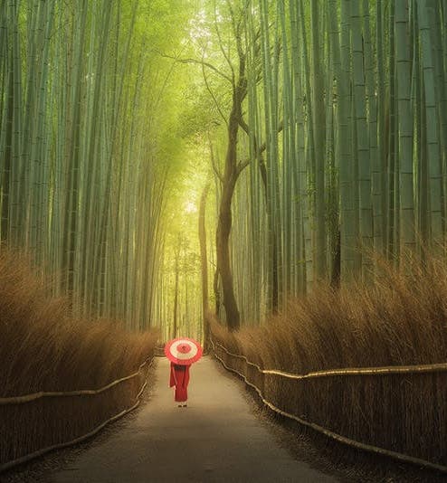 Japan Photography Tours & Workshops