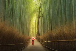 Japan Photography Tours & Workshops
