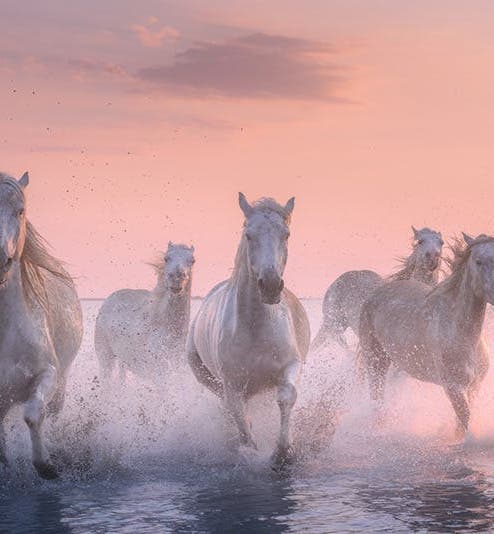 France Photography Tours & Workshops