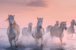 France Photography Tours & Workshops