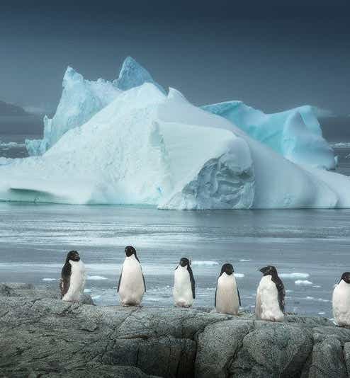 Antarctica Photography Tours & Workshops