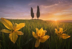 Italy Photography Tours & Workshops