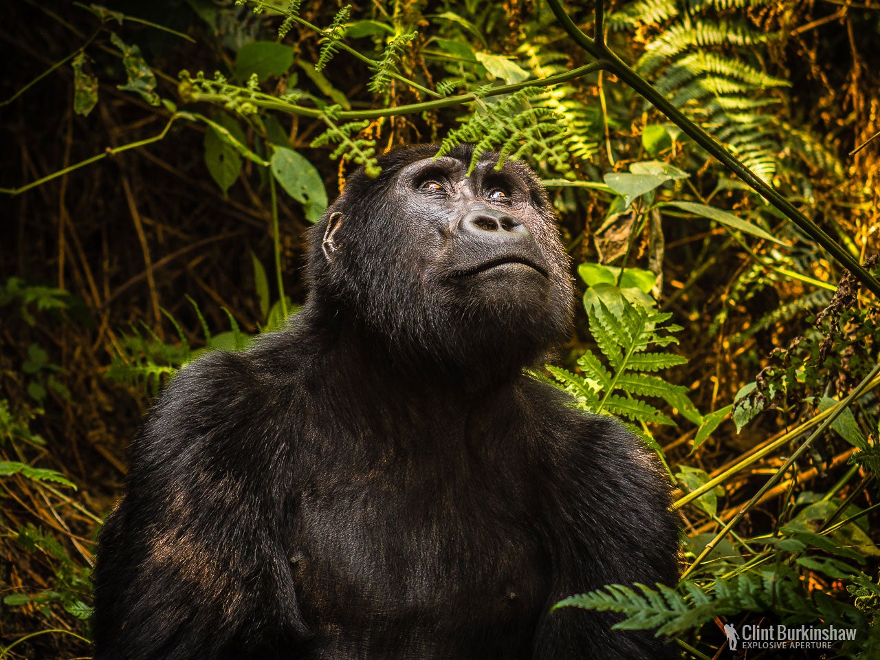 11 Tips to Help You Capture Stunning Landscape Photographs