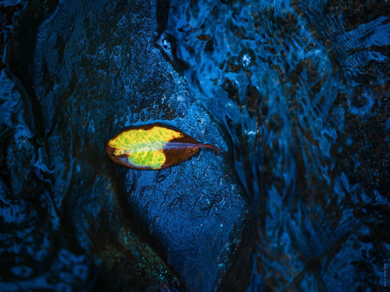 Rule of Thirds Explained